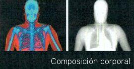 Composición corporal Composición corporal